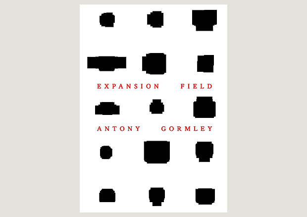 Antony Gormley, Expansion Field